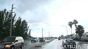 Homosexual Sex Websites