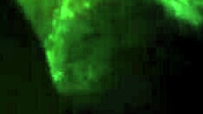 a prostitute in a video from july 25 2015 at 12 36 04