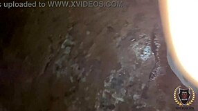 aria khaide meets and chats with stallion rome major