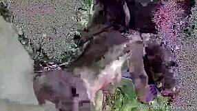 หญิงสาวเซนซิทีฟสั่นไม่หยุดขณะขี่แรง