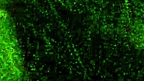 Vanessa Webcam Video Showing Sexy Emotions