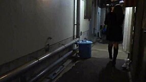 Japanese Girl Hamasaki Kana Enjoys Wild Blowjob After Pub Pickup