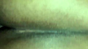 my new shemale love shows off in amateur scenes