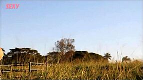 i love sexy brazilian babes andressa fabiana dani