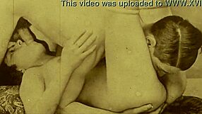 dark lantern entertainment shows steamy vintage 69 action