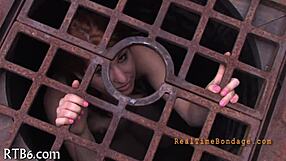 sadomasochism fucking with intense bondage whipping and domination scenes