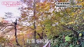 i enjoy the nanachi together in roleplay