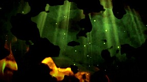 Sara May At Alicante Erotic Festival 2013