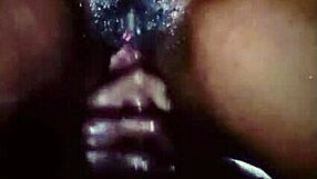 niplexnija expensive beating with nice body