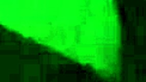 Do you want me to suck your cock, you idiot?