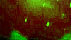 Couple uses squishy toy for masturbation session