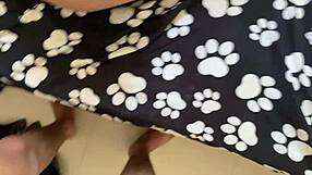 Stranger Follows Home For POV Sex With Big Cock