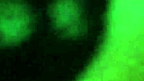 Hey, We're Fucking The Stepsister In Doggystyle At The Cabin