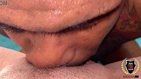 hot babe taylor blake's wet pussy wrecked by rome major in cowgirl deepthroat