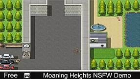 User created demo video of moaning sounds in 3D adult game