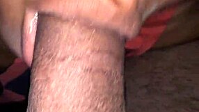 Latina homemade blowjob to cum