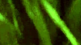 casadinha chupando rola with lots of oral fun