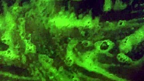 Ebony Mzkiwi's First Anal Attempt In The Shower Blends Bathing With Amateur Assfucking