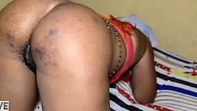 piping her pussy inside out with big cock