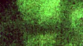 Cumslut bunny eagerly takes intense facial in snow