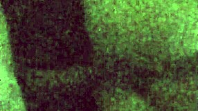 Cumslut bunny eagerly takes intense facial in snow