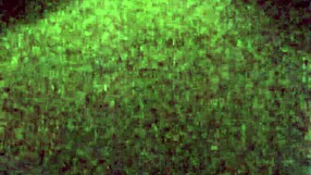 Cumslut bunny eagerly takes intense facial in snow