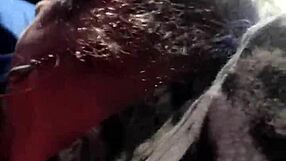 the brazilian shemale enjoys a rapid oral quickie in the car