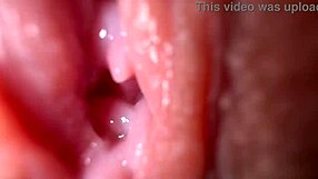 Warum spreizt diese jungfräuliche 18+ Teen ihre weite Fotze mit Dirty Talk?