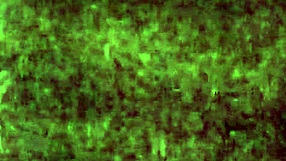 Cumslut bunny eagerly takes intense facial in snow