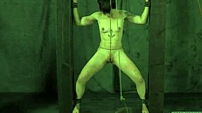 a free story of sadomasochism and erotic adventures