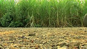 mumbai escorts pleasure neighbor intensely