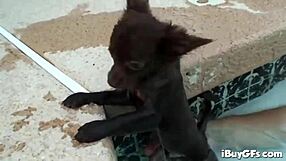 pov trina michaels stripper dances and fondles her hot body in hardcore teasing