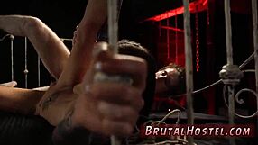 Sexo de primeira vez de casais deixa turistas 18+ Felicity empolgada