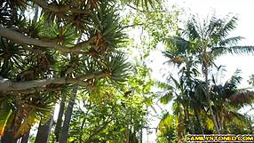 Dolly Leigh Sucks Richies Pokemon Pikachu Cock