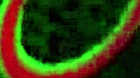 Hei Vicky Vette, haluatko riisuutua alasti ja leikkiä sillä suihkulla?