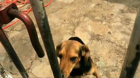 Peguei novinha na academia e levei pra casa