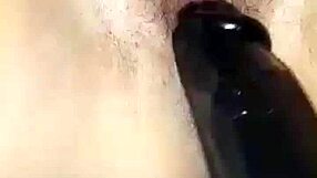 the story of fucking and sucking pussy in oral delight