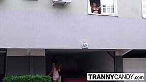 maira dimov & yasmin de castro have a hot trans fuck with cumshot sex shemale blowjob fucking crossdressing toys dildo creampie transsexual