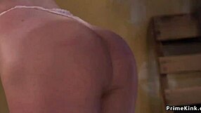 Petite brunette endures hard whipping and intense pounding in bondage