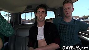 Free Clips Of Homosexual Blowjob And Sex