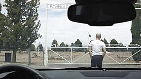 A Thought of 2017 Sparks Unexpected Secrets