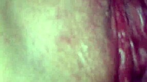 Mobile phone camera used as proof of cohabitation by an amateur couple