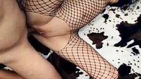 Intriguing Sexwife Shares Anal With Fans In Lingerie And Stockings