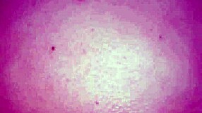 Husband Films Wife In Doggy Style Passion