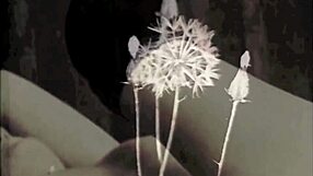 Old Vintage Porn Evokes Nostalgic Desires