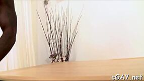 Twinks Explore Gay Desires.