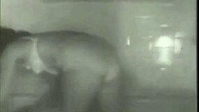 Old Vintage Porn Evokes Nostalgic Desires