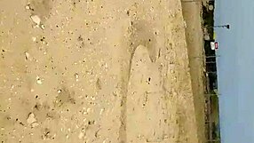 Can This Babe Handle Dildo Fucking In Public?