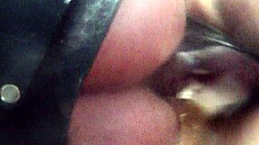 Hard Fuck From Patty Shemale Ladyboy Amateurs