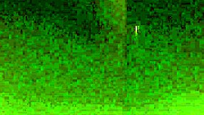 My Sister-In-Law And I